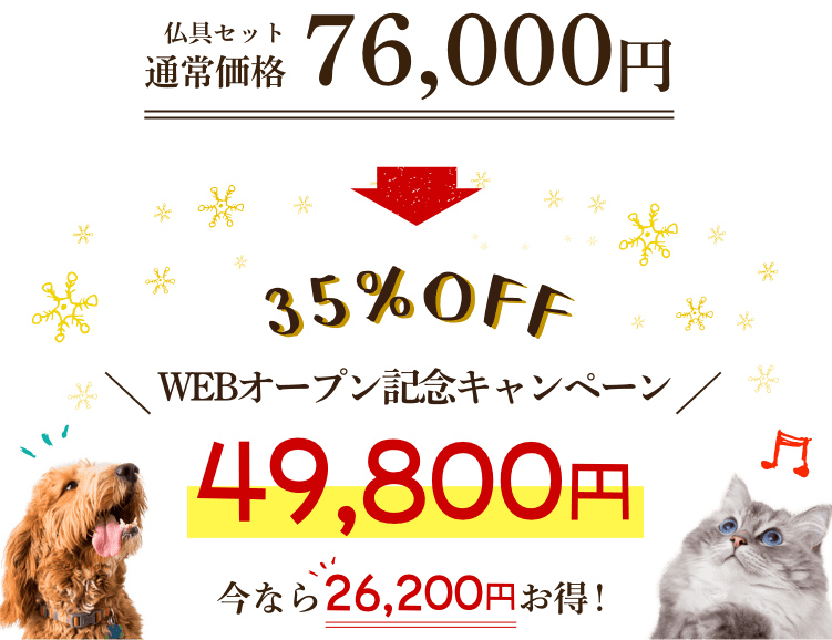 通常価格76,000円が35%OFFの平成最後の記念キャンペーンで49,800円！ 今なら26,200円お得！