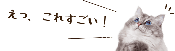 えっ、これすごい！