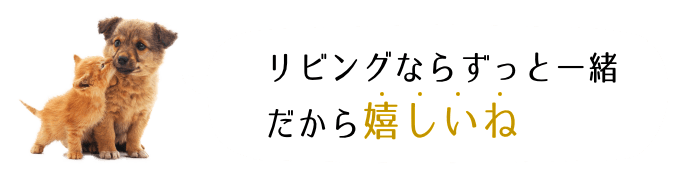 リビングならずっと一緒だから嬉しいね