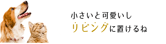 小さいと可愛いしリビングに置けるね