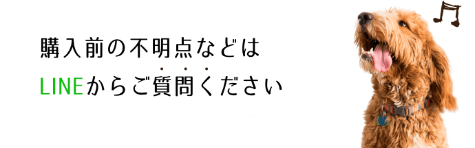 購入前の不明点などはLINE＠からご質問ください