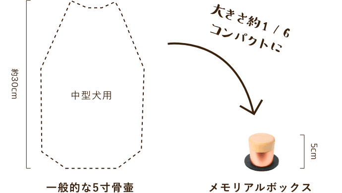 一般的な5寸骨壷に比べてメモリアルボックスは大きさ約1/6コンパクトに