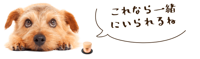 これなら一緒にいられるね