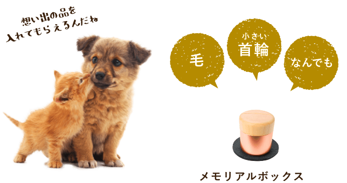 想い出の品を入れてもらえるんだね